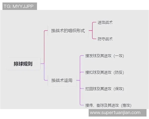 排球战术：重庆排球队的盯防体系